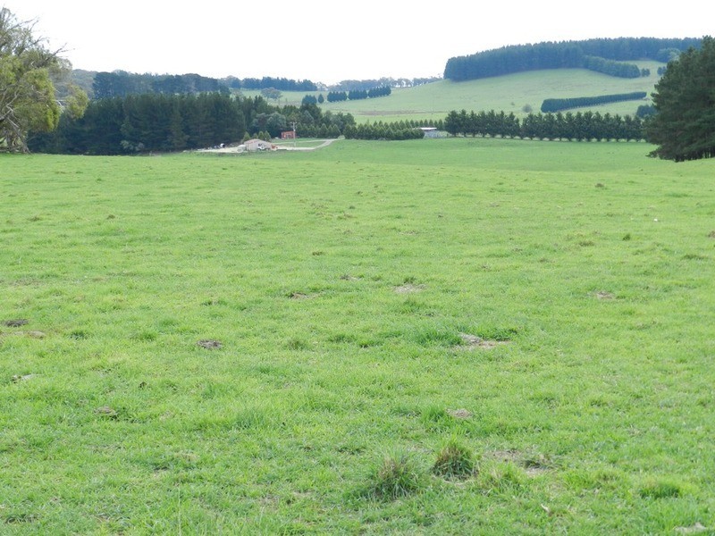 5744 Oberon  Road, Taralga NSW 2580