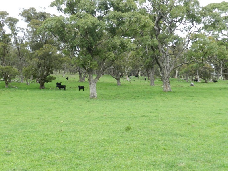 5744 Oberon  Road, Taralga NSW 2580