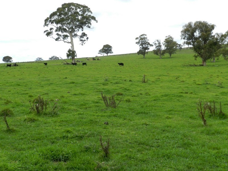 5744 Oberon  Road, Taralga NSW 2580