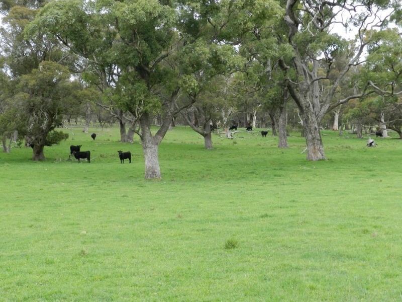 5744 Oberon  Road, Taralga NSW 2580