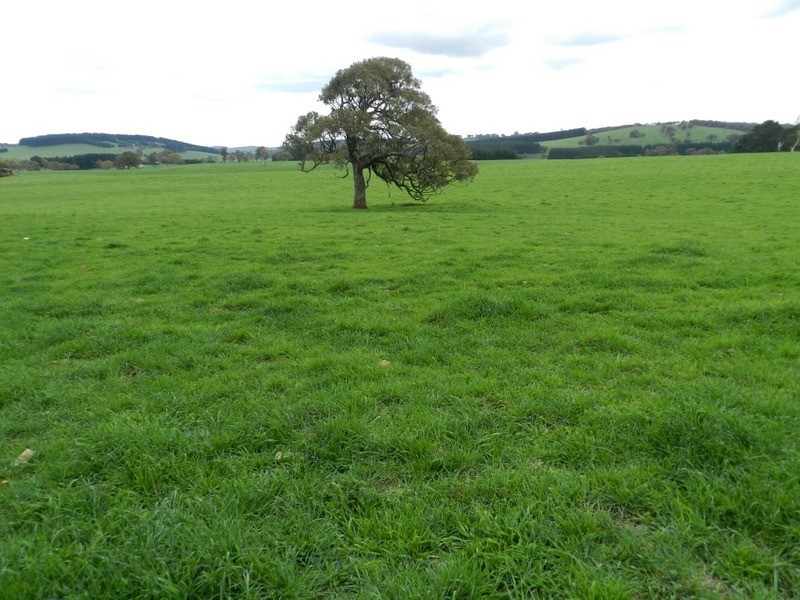 5744 Oberon  Road, Taralga NSW 2580