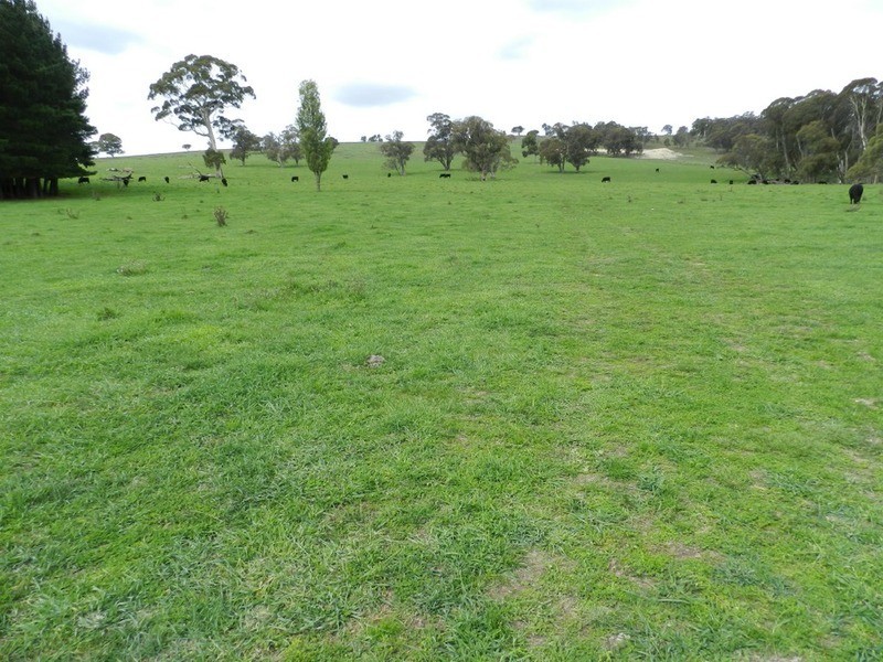 5744 Oberon  Road, Taralga NSW 2580