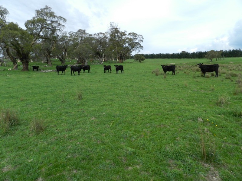 5744 Oberon  Road, Taralga NSW 2580