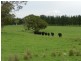 5744 Oberon  Road, Taralga NSW 2580