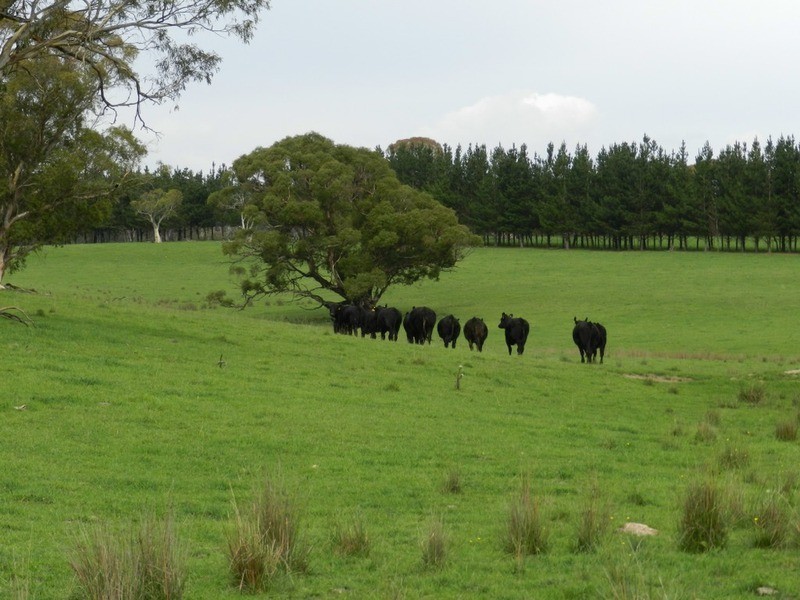 5744 Oberon  Road, Taralga NSW 2580