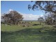 Lot 85 Berrebangalo Road, Gunning NSW 2581