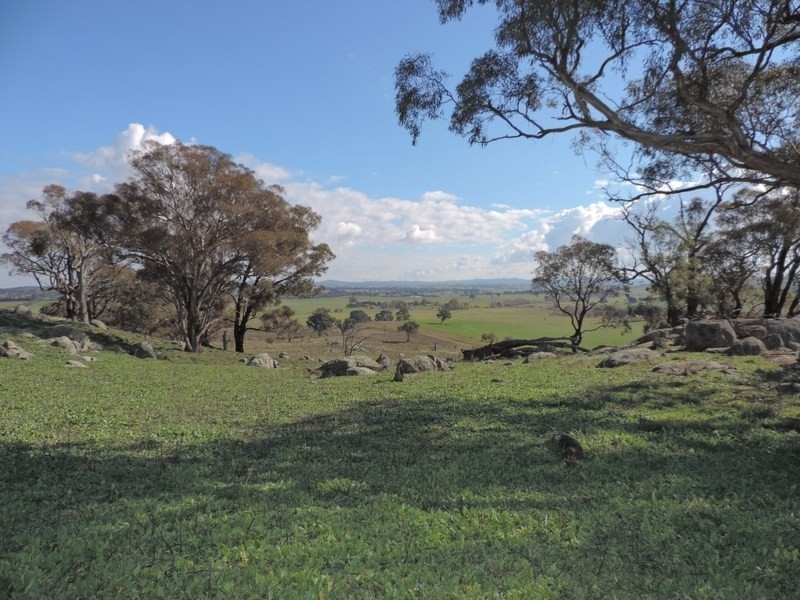 Lot 85 Berrebangalo Road, Gunning NSW 2581