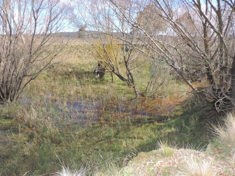 Lot 85 Berrebangalo Road, Gunning NSW 2581