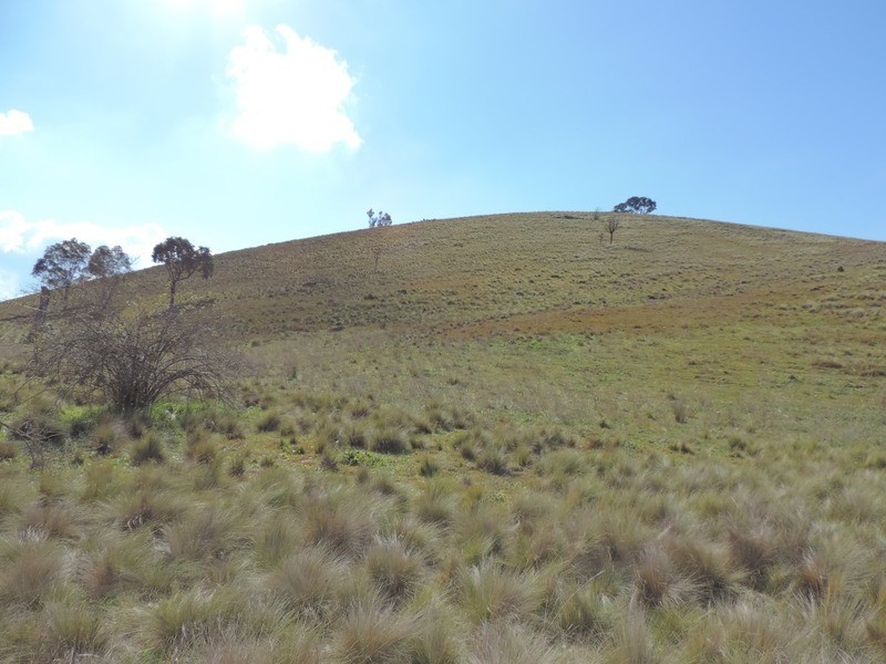 Lot 85 Berrebangalo Road, Gunning NSW 2581