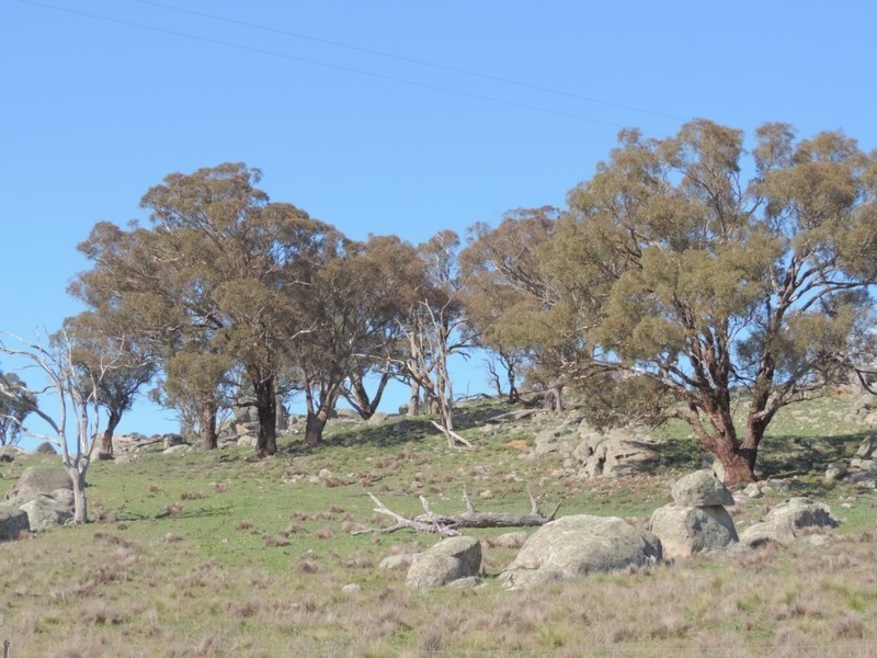 Lot 85 Berrebangalo Road, Gunning NSW 2581