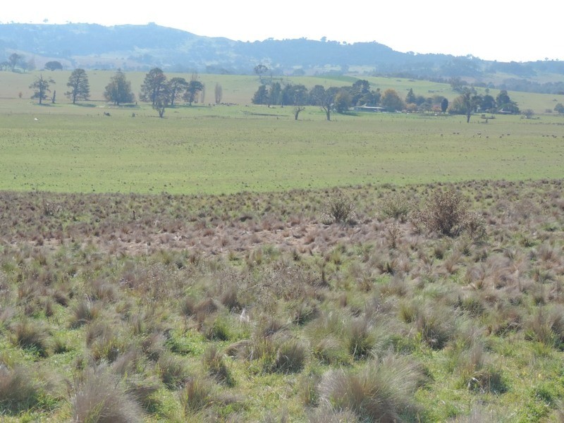 Lot 85 Berrebangalo Road, Gunning NSW 2581