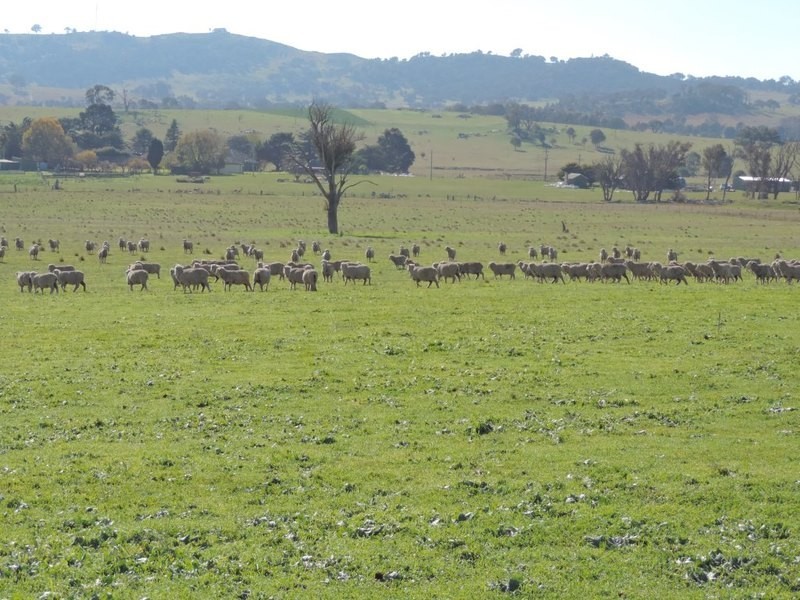 Lot 85 Berrebangalo Road, Gunning NSW 2581