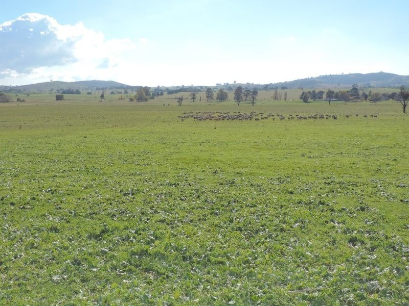 Lot 85 Berrebangalo Road, Gunning NSW 2581