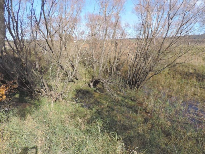 Lot 85 Berrebangalo Road, Gunning NSW 2581