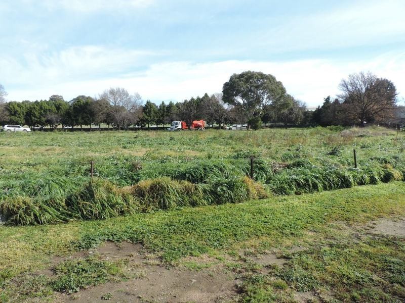 29 Bellevue Street, Goulburn NSW 2580