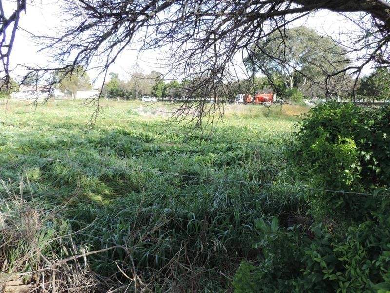 29 Bellevue Street, Goulburn NSW 2580