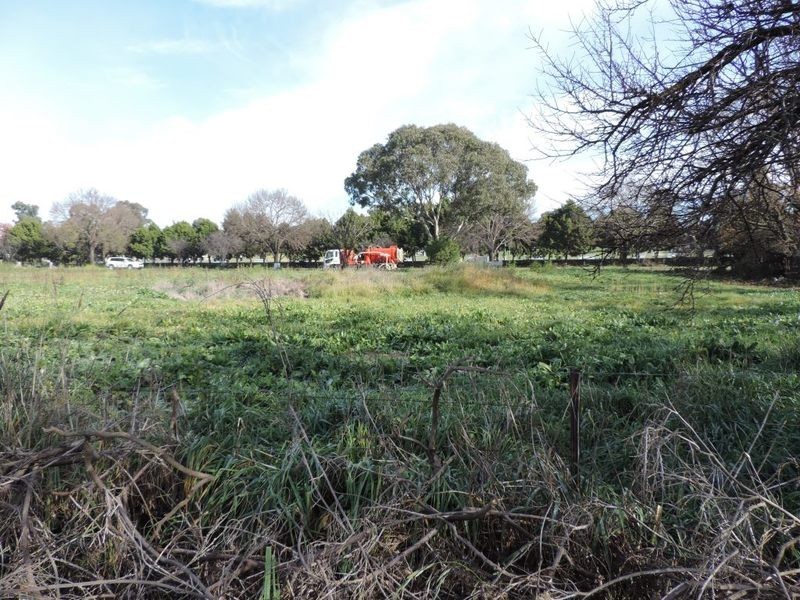 29 Bellevue Street, Goulburn NSW 2580