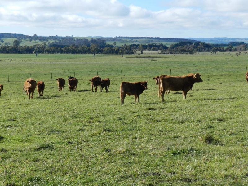 246 Bannister Lane, Bannister NSW 2580