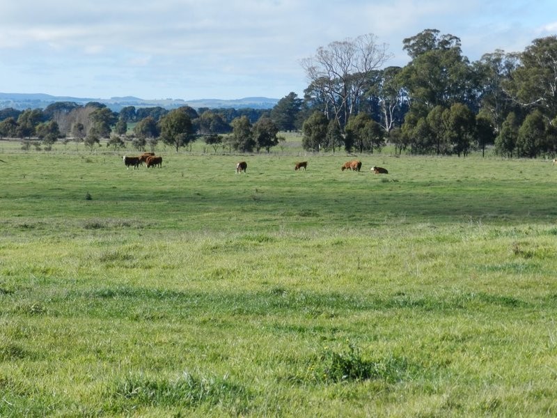 246 Bannister Lane, Bannister NSW 2580