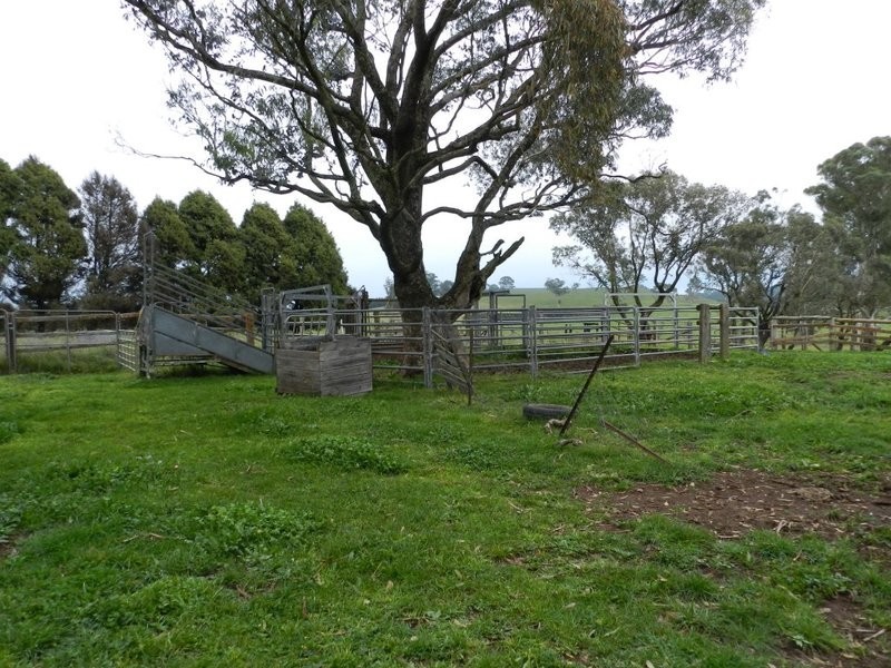 246 Bannister Lane, Bannister NSW 2580