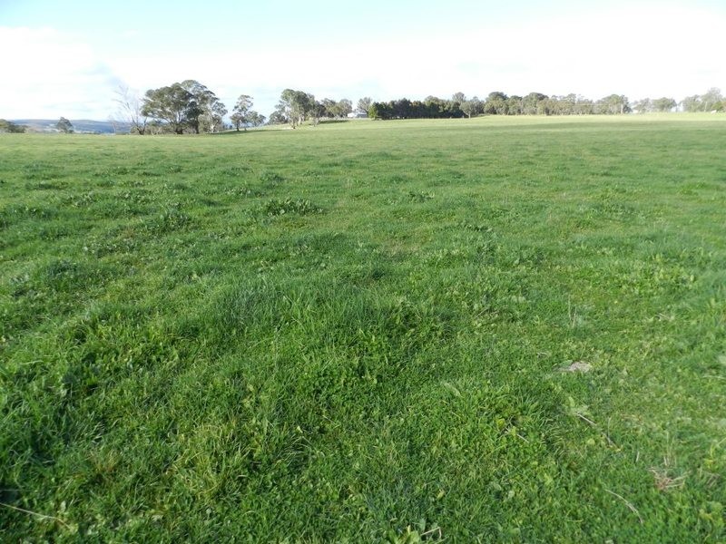 246 Bannister Lane, Bannister NSW 2580