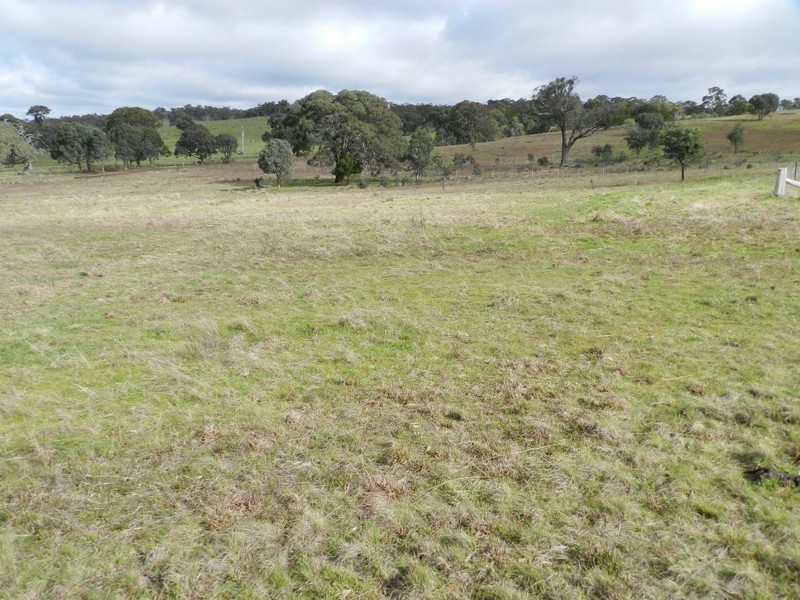 325 Mullins Creek Road, Breadalbane NSW 2581