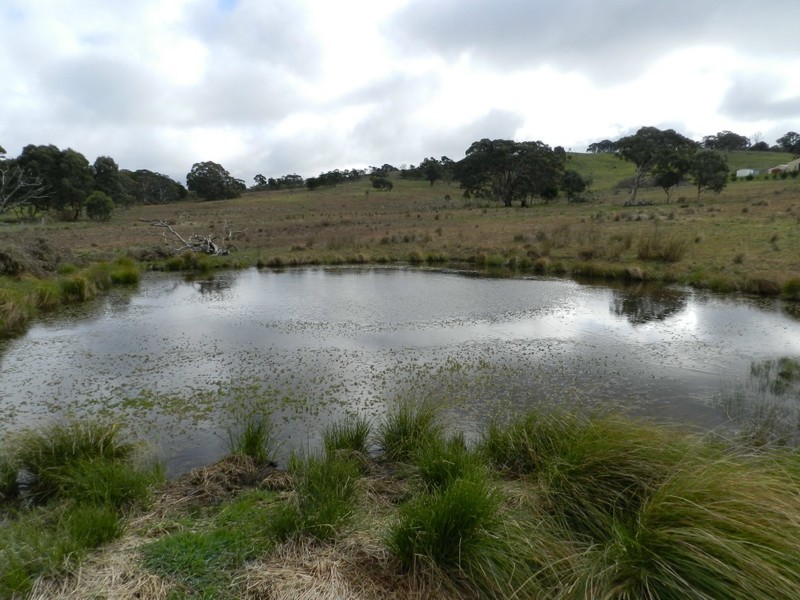 325 Mullins Creek Road, Breadalbane NSW 2581