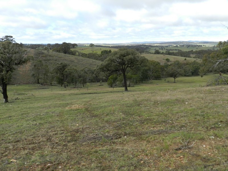 325 Mullins Creek Road, Breadalbane NSW 2581