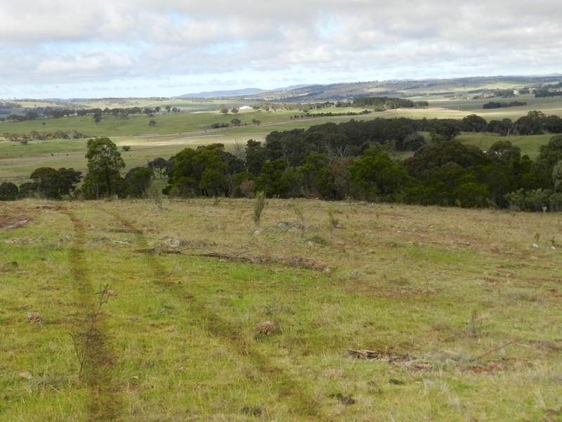 325 Mullins Creek Road, Breadalbane NSW 2581