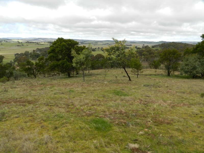 325 Mullins Creek Road, Breadalbane NSW 2581