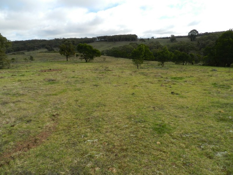 325 Mullins Creek Road, Breadalbane NSW 2581