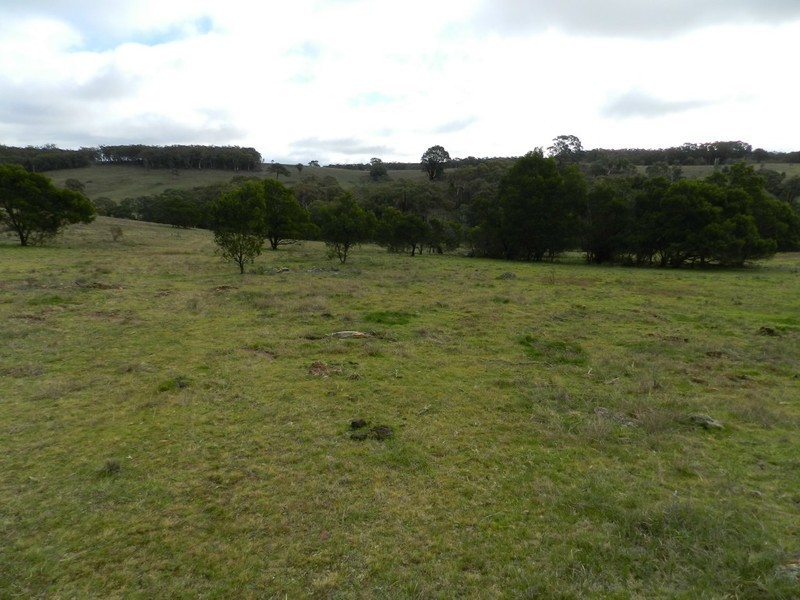 325 Mullins Creek Road, Breadalbane NSW 2581