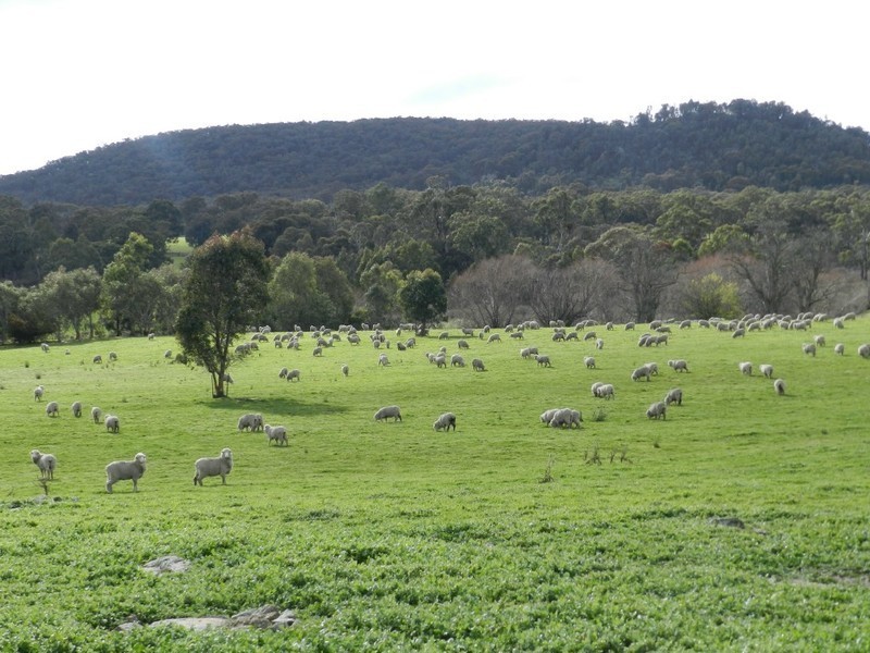 1972 Bigga Road, Bigga NSW 2583