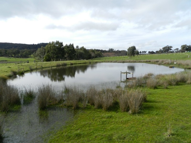 1972 Bigga Road, Bigga NSW 2583