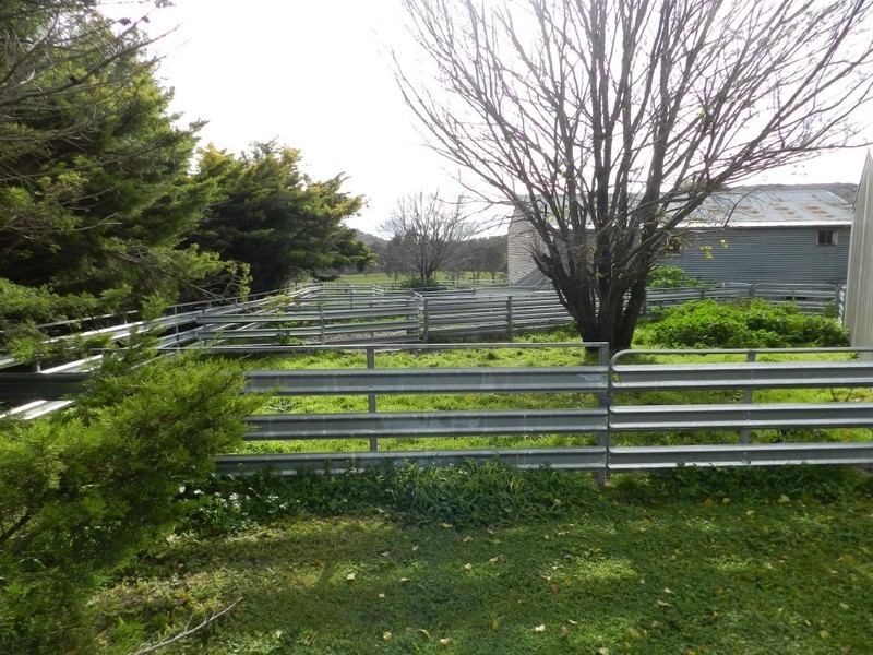 1972 Bigga Road, Bigga NSW 2583