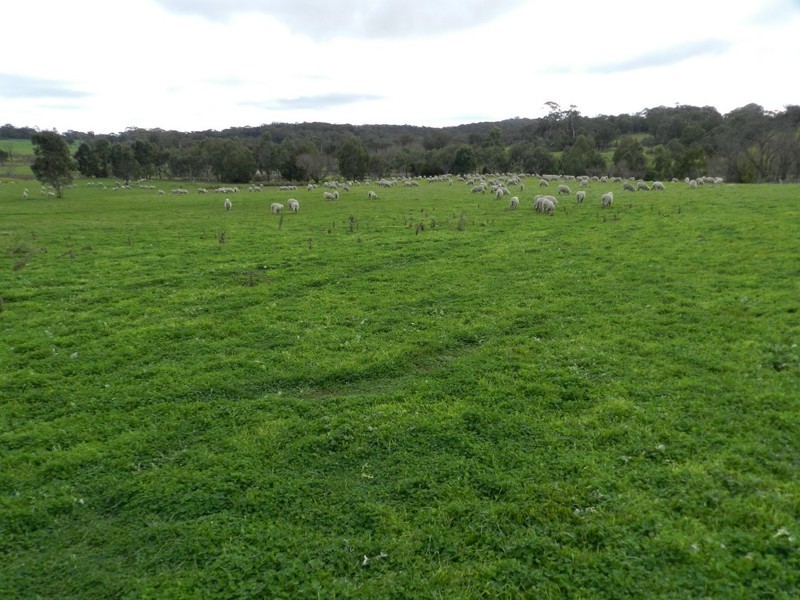 1972 Bigga Road, Bigga NSW 2583