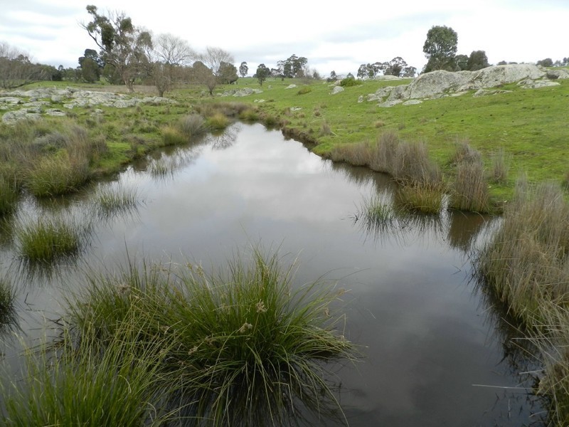 1972 Bigga Road, Bigga NSW 2583