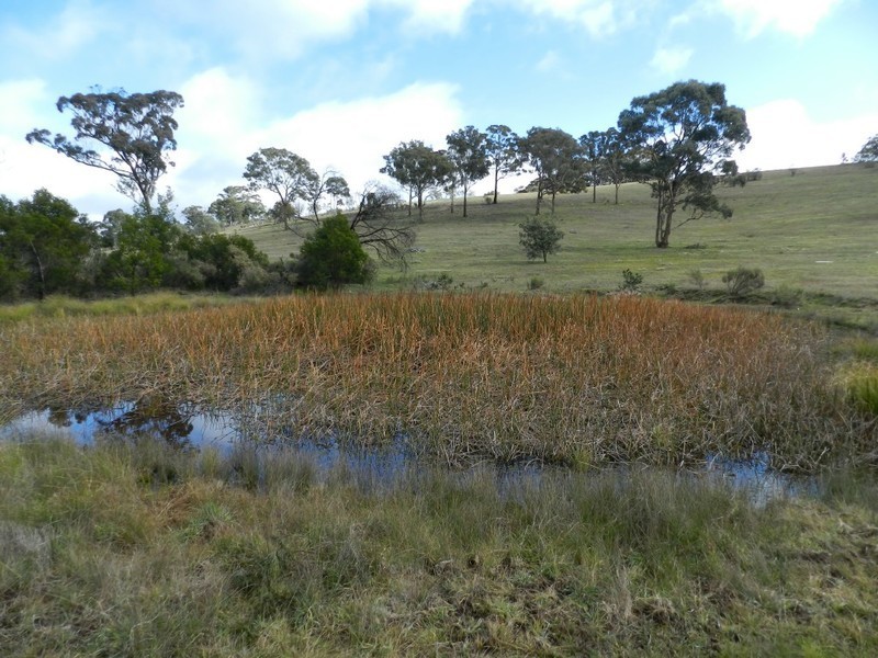Lot 02/325 Mullins Creek Road, Breadalbane NSW 2581