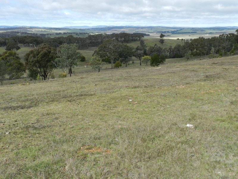 Lot 02/325 Mullins Creek Road, Breadalbane NSW 2581