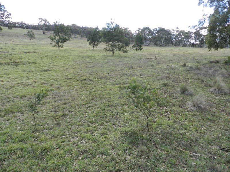 Lot 02/325 Mullins Creek Road, Breadalbane NSW 2581