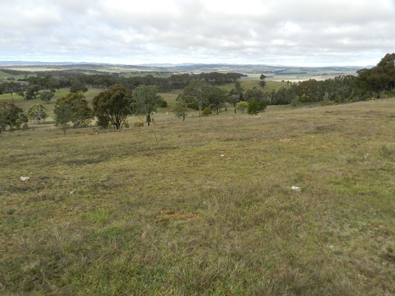 Lot 02/325 Mullins Creek Road, Breadalbane NSW 2581