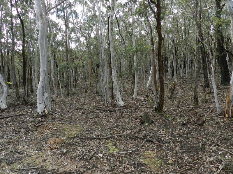 Lot 02/325 Mullins Creek Road, Breadalbane NSW 2581
