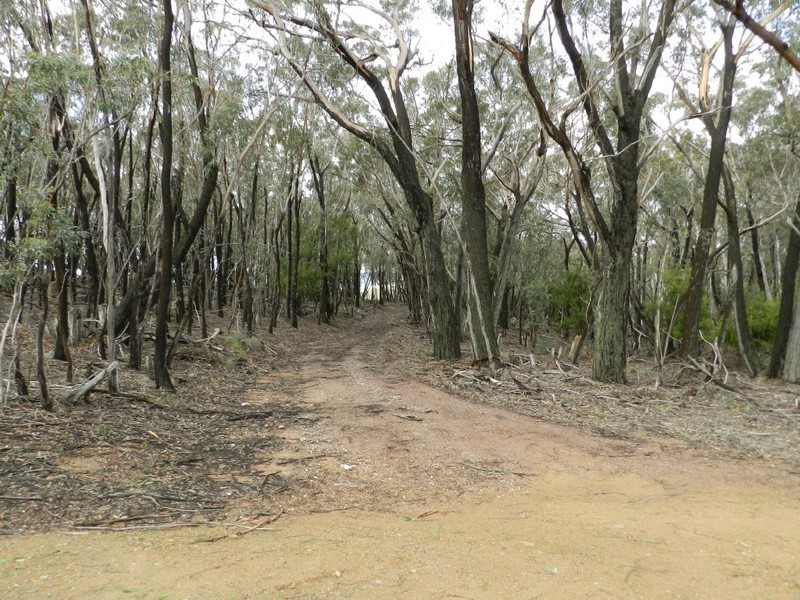 Lot 02/325 Mullins Creek Road, Breadalbane NSW 2581