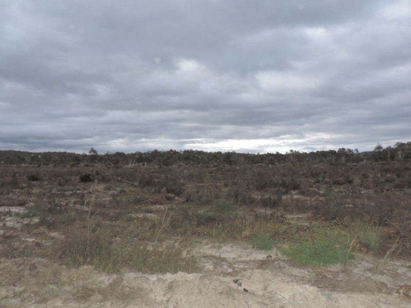 6842 Main Road, Nerriga NSW 2622