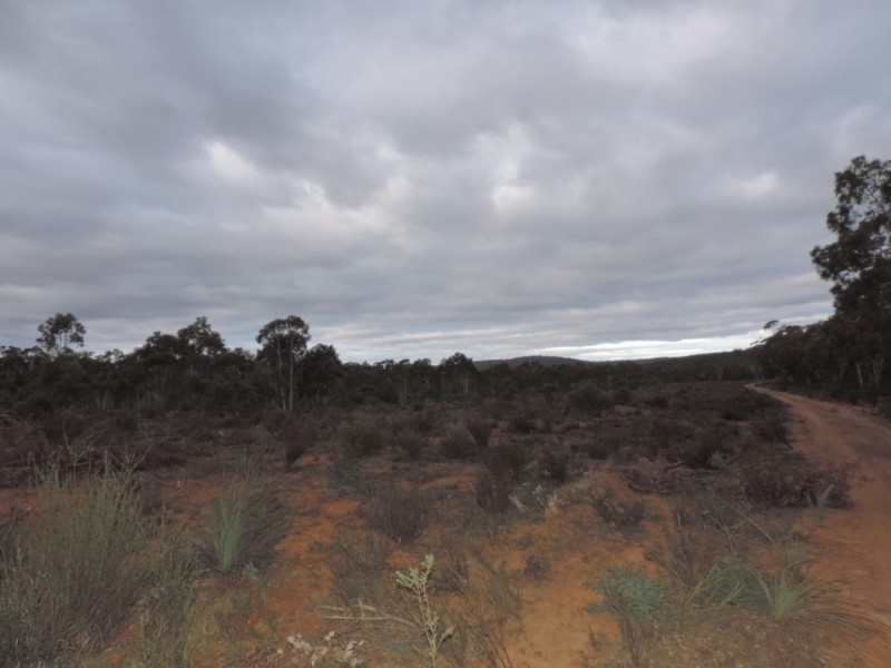 6842 Main Road, Nerriga NSW 2622