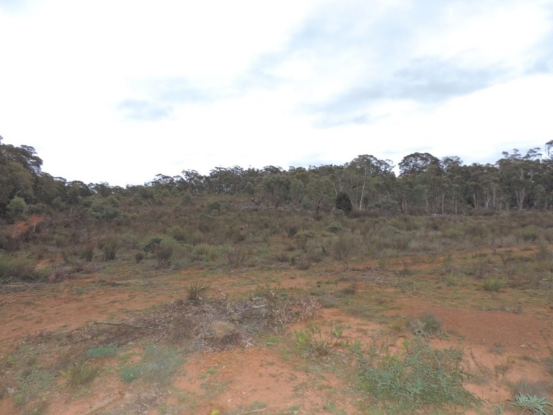 6842 Main Road, Nerriga NSW 2622