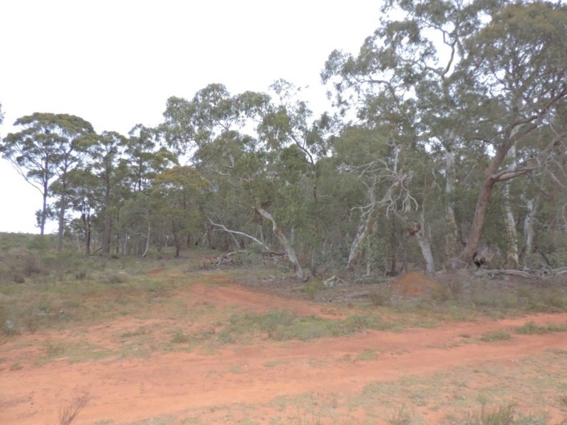 6842 Main Road, Nerriga NSW 2622