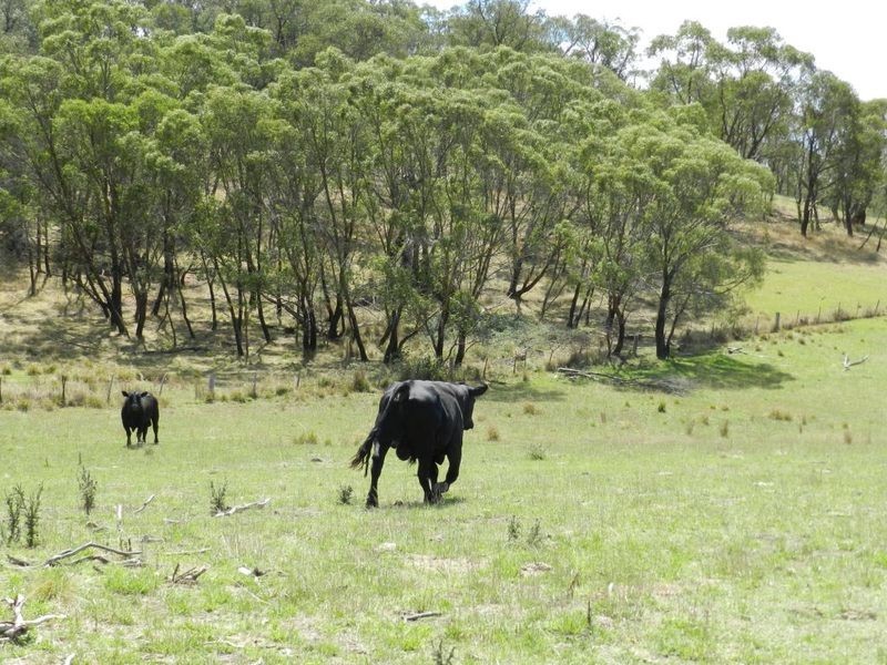 C/6506  Oberon Road, Taralga NSW 2580