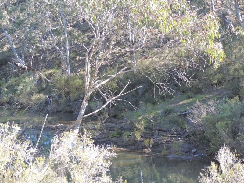 2164 Jerrong Road, Jerrong NSW 2580