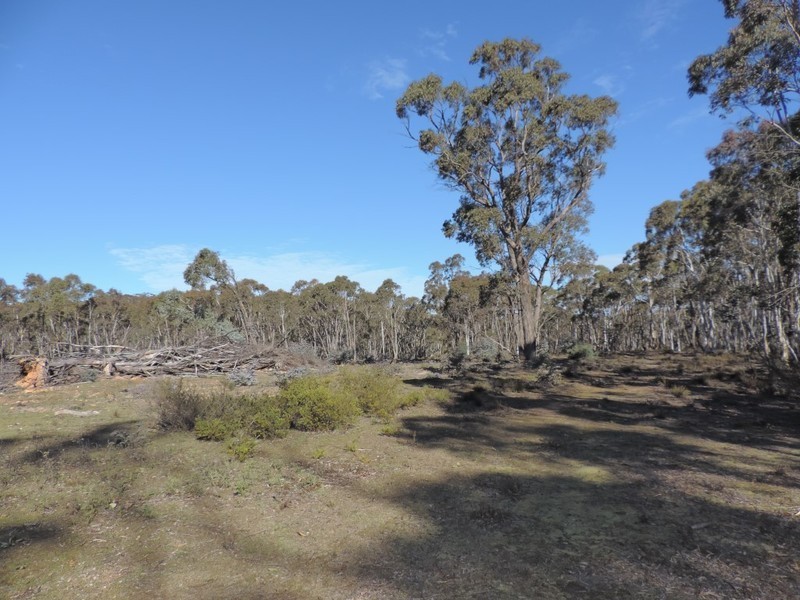 2164 Jerrong Road, Jerrong NSW 2580